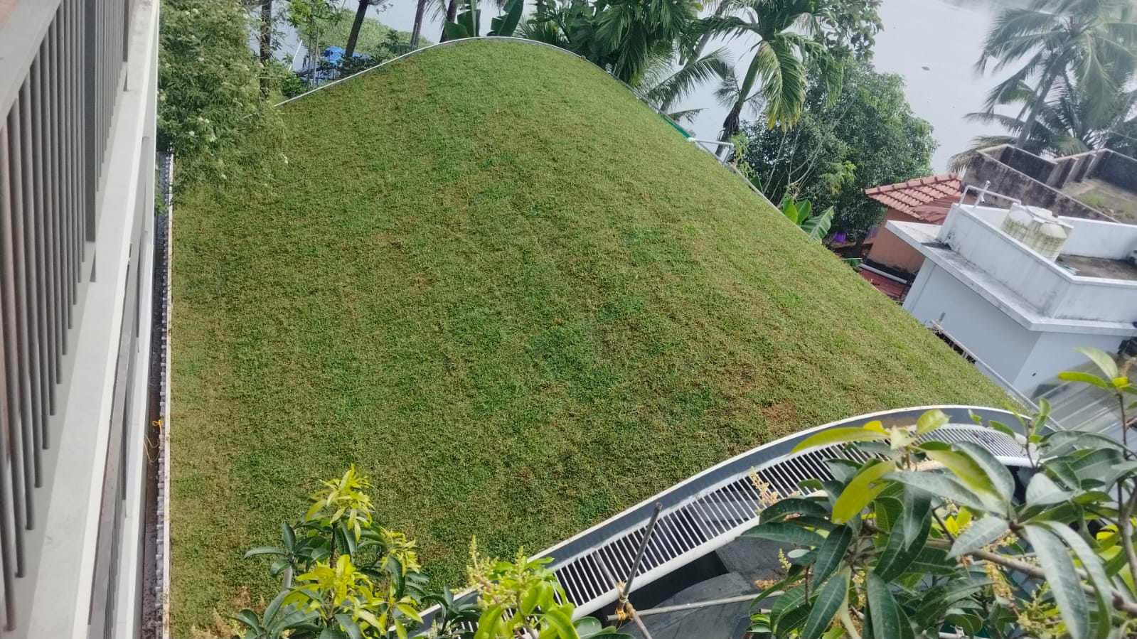 Green Roof preview 5